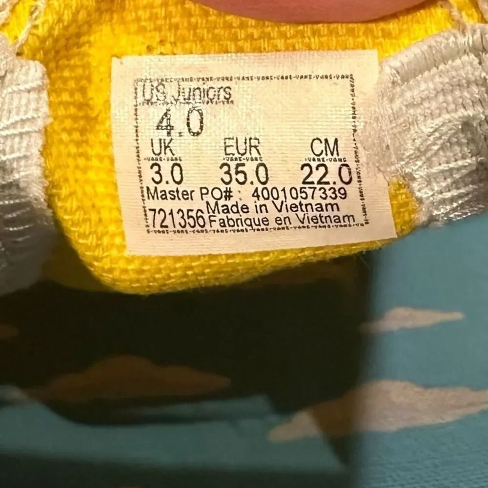 Vans x The Simpsons Family Pets Classic Slip‑On Youth Kids Size 4 NIB